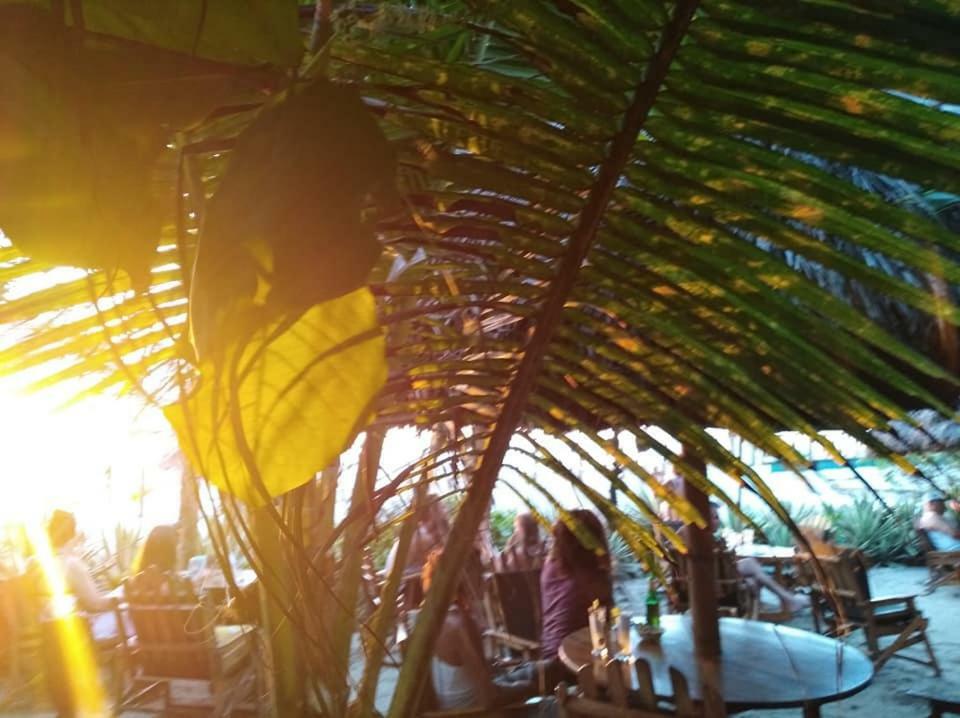Hotel Bambu Canoa Eksteriør bilde